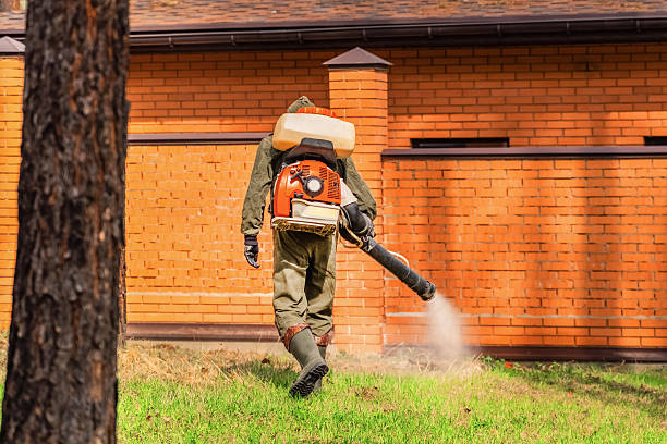 Trusted Ant Control service in West Chester, PA - Nex Pest Control